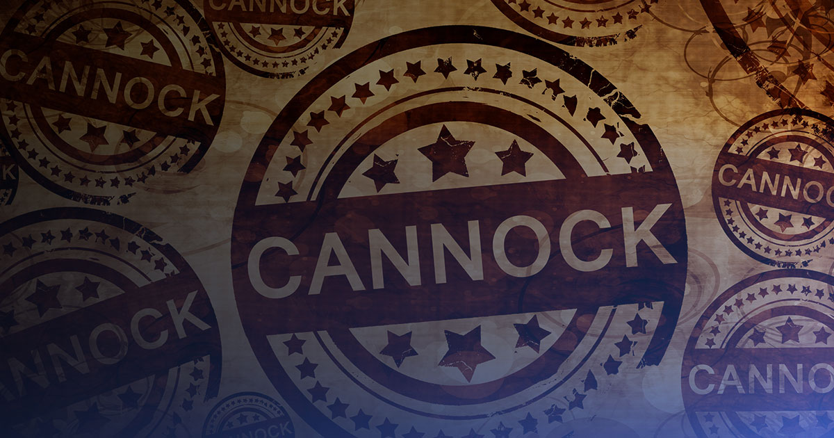 Why every Cannock business needs a website